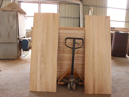 Paulownia puzzle