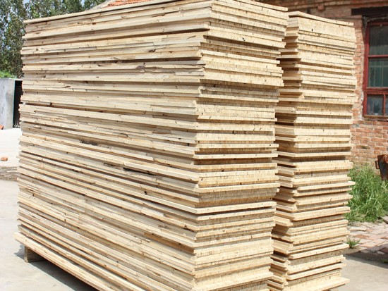 Paulownia Glulam