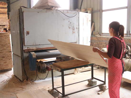 Paulownia Glulam